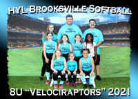HYL Brooksville Softball Spring 2021