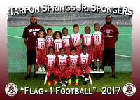 Tarpon Springs Jr. Spongers Football 2017