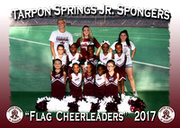 Tarpon Springs Jr. Spongers Cheerleaders 2017