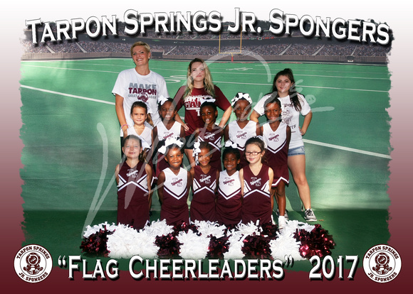 102- Flag  Cheerleaders