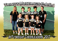 Trinity Mustangs Cheerleaders 2017