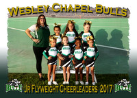 Wesley Chapel Bulls Cheerleaders 2017