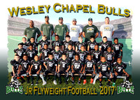 Wesley Chapel Bulls Football 2017