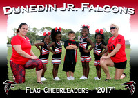 Dunedin Jr. Falcon Cheerleaders 2017