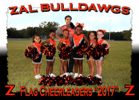 ZAL Bulldawgs Cheerleaders 2017