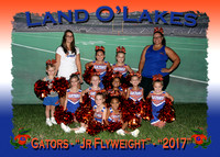 Land O' Lake Gators PAL Cheerleaders 2017