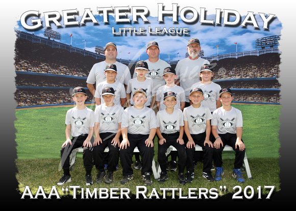 120- AAA Timber Rattlers