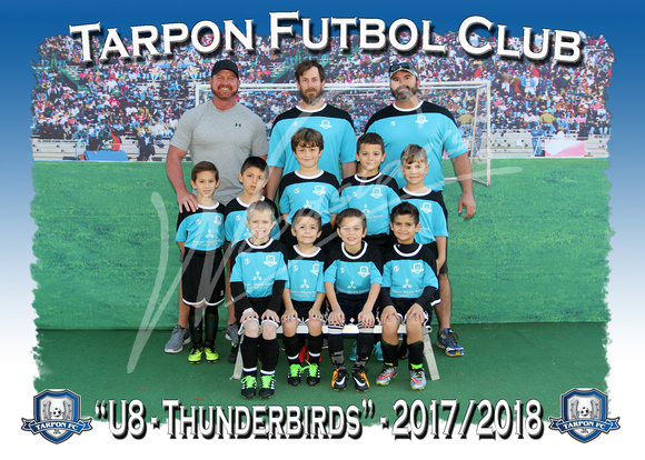 103- U8 Thunderbirds