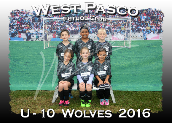104- U - 10  Wolves  2016