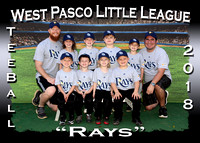West Pasco LL T-Ball Spring 2018