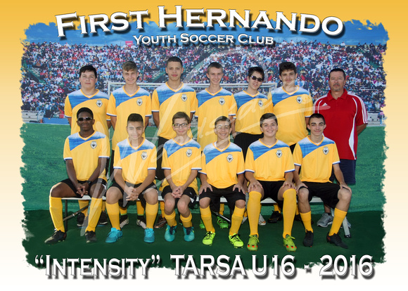 107- TARSA Intensity