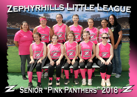 116- Senior Pink Panthers