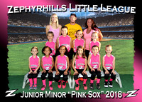 Zephyrhills LL Softball Spring 2018