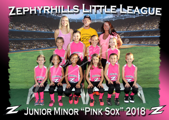 105- Junior Minor Pink Sox