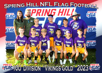 Spring Hill NFL Flag Football Fall 2023