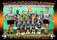 Wesley Chapel Coyotes Youth Cheerleading September 2023