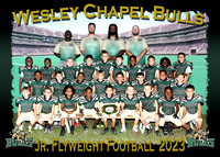 Wesley Chapel Bulls Football 2023
