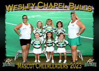 Wesley Chapel Bulls Cheerleaders 2023