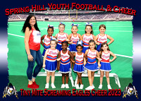 Screaming Eagles Cheerleaders (SHYFC) 2023