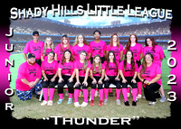 Shady Hills Little League Softball Fall 2023