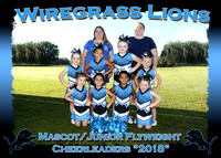 Wiregrass Lions Cheerleaders 2018