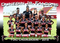 Dunedin Jr. Falcons Cheerleaders 2018