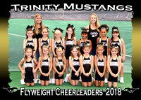 Trinity Mustangs Cheerleaders 2018
