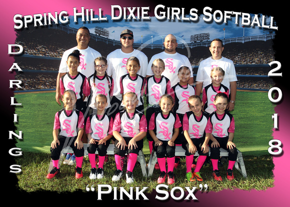 105- Darlings Pink Sox
