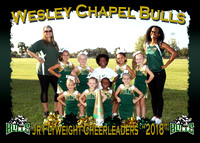 Wesley Chapel Bulls Cheerleaders 2018