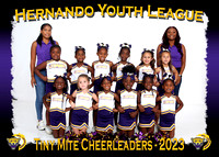 HYL Leopards Cheerleaders 2023