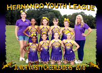 HYL Leopards Cheerleaders 2018