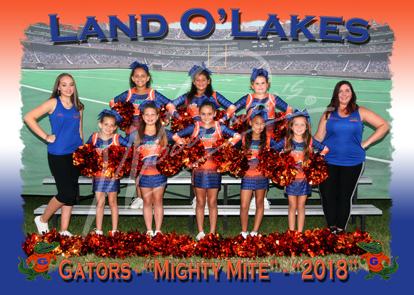 103- Mighty Mite Cheer