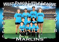 West Pasco Little League T-Ball Fall 2018
