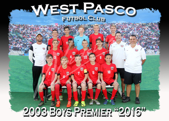 110- 2003 Boys Premier