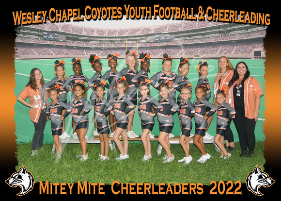203- Mitey Mite Cheer