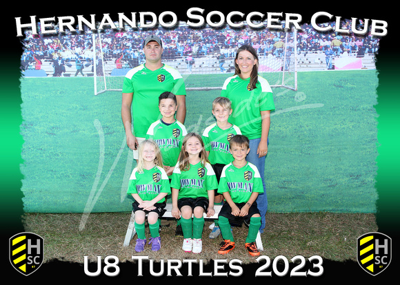 118- U8  Turtles