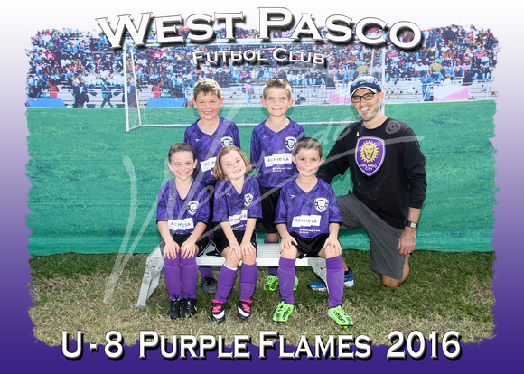 122- U - 8  Purple Flames  2016
