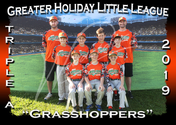 101- Grasshoppers