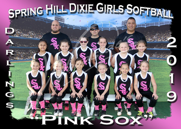 103- Pink Sox