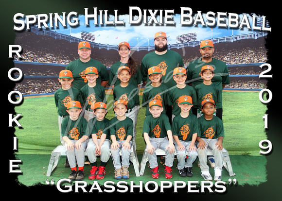 119- Rookie Grasshoppers