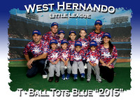 West Hernando LL Spring 2015 T-Ball