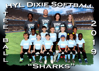 HYL Dixie Softball Tee Ball Spring 2019