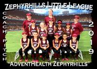 Zephyrhills LL Softball Spring 2019