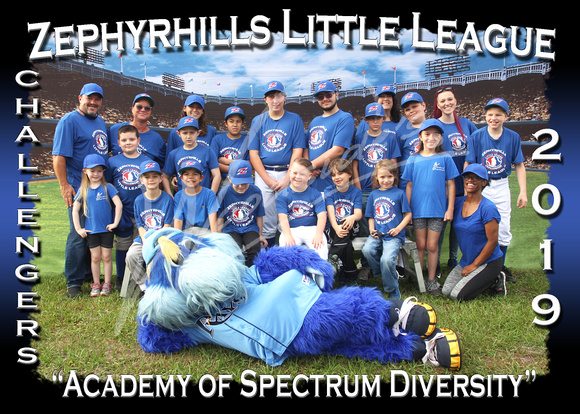 105- Challengers Academy of Spectrum Diversity
