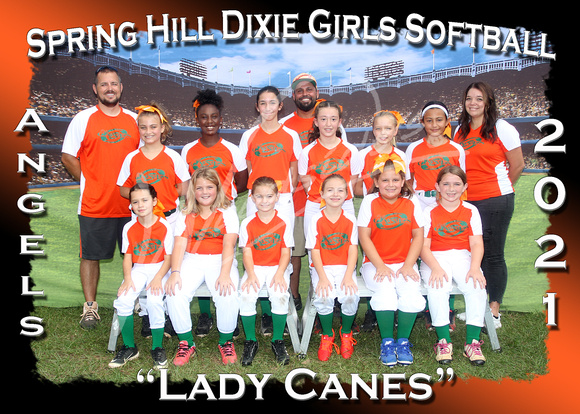 113- Angels Lady Canes