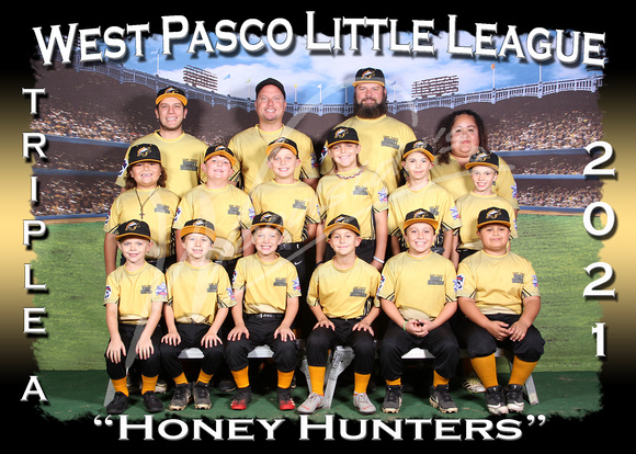 103- AAA Honey Hunters