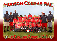 Hudson Cobras Football 2019