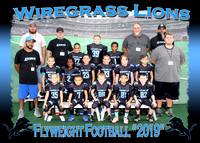 Wiregrass Lions Football 2019