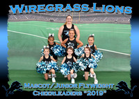 Wiregrass Lions Cheerleaders 2019