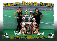 Wesley Chapel Bulls Cheerleaders 2016